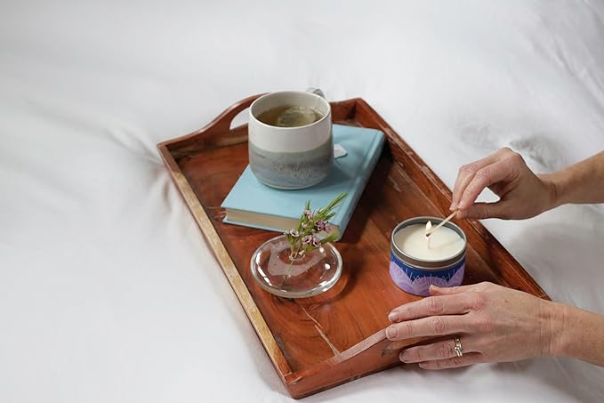 GoodLight Paraffin-Free Scented Candle, Clean Burning Non-Toxic Tin Candles, Apricot Olive Leaf Essential Oil Scented Travel Candle