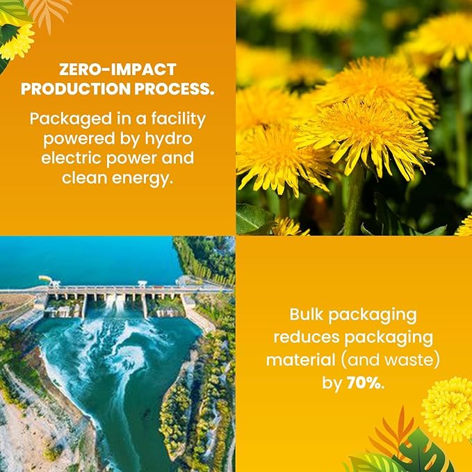 Cederberg Tea Company Organic Dandelion Root Tea — 30 Tea Bags | Organic Herbal Tea From Single Origin | Eco-Friendly Tea Bags | Non-GMO Caffeine Free Tea With Zero Sugar