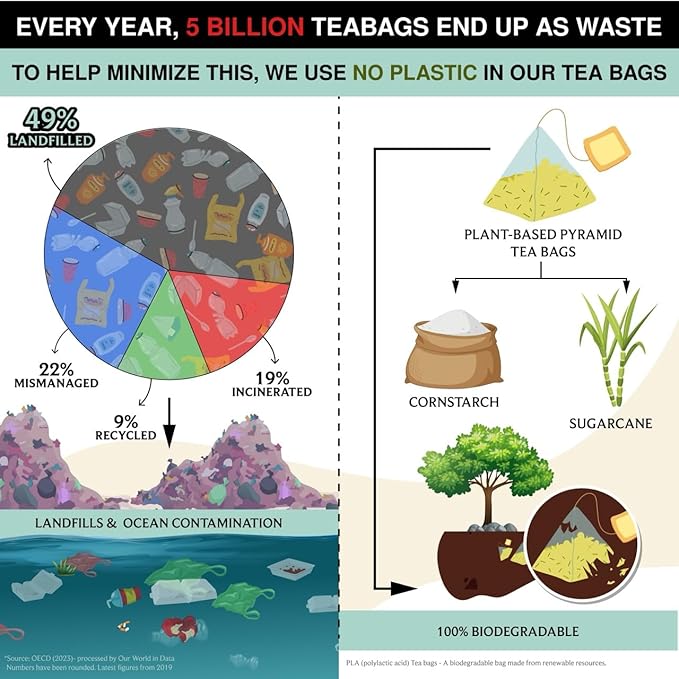 BREWIX, Ayurvedic Detox Herbal Tea Bags (30 Pyramid Tea Bags) Caffeine-Free Herbal Tea | Cleansing Formula with Traditional Ayurvedic Herbs | Supports Digestion, Balance & Daily Vitality