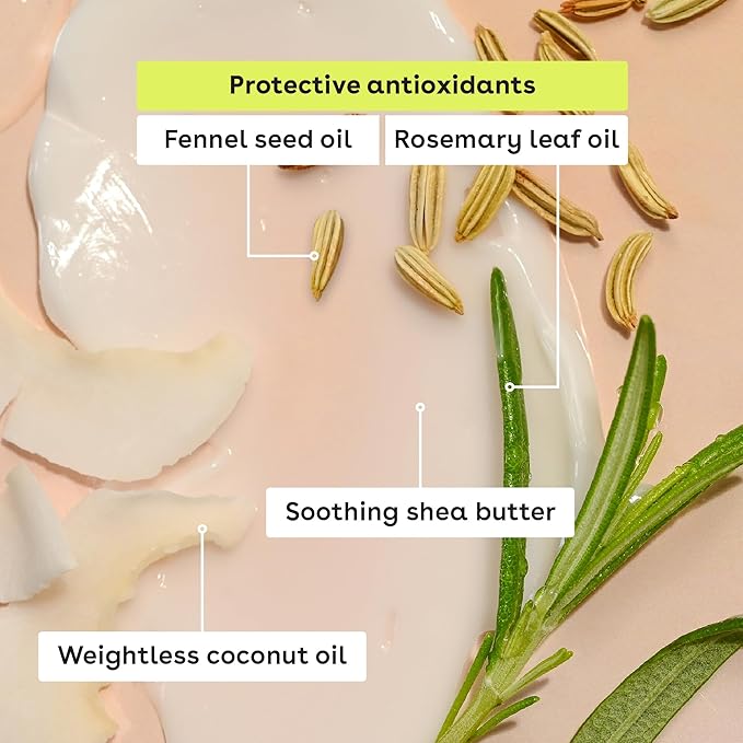 eos 100% Natural & Organic Lip Balm Stick- Vanilla Bean | Dermatologist Recommended for Sensitive Skin | All-Day Moisture Lip Care Products | 0.14 oz