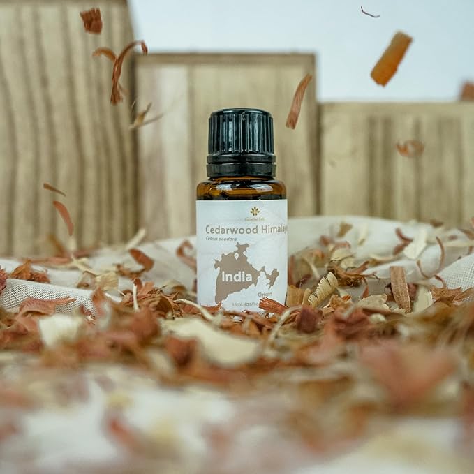 Cedarwood Essential Oil (Himalayan) - Direct from Hindustan Mint & Agro in India - Essential Oil for Diffusers and Aromatherapy | Pure Therapeutic Grade (15ml)