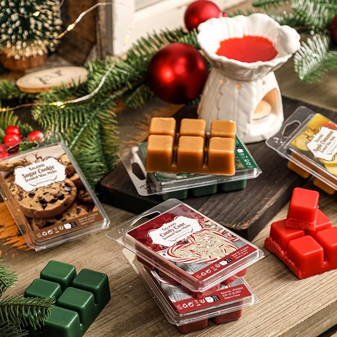 SALKING Christmas Scented Wax Melts, Soy Wax Melts Gift Set, Wax Cubes/Tarts for Warmer - Christmas Wreath, Apple Cinnamon, Gingerbread, Candy Cane, Eggnog, Christmas Pudding, Cranberry, Sugar Cookie