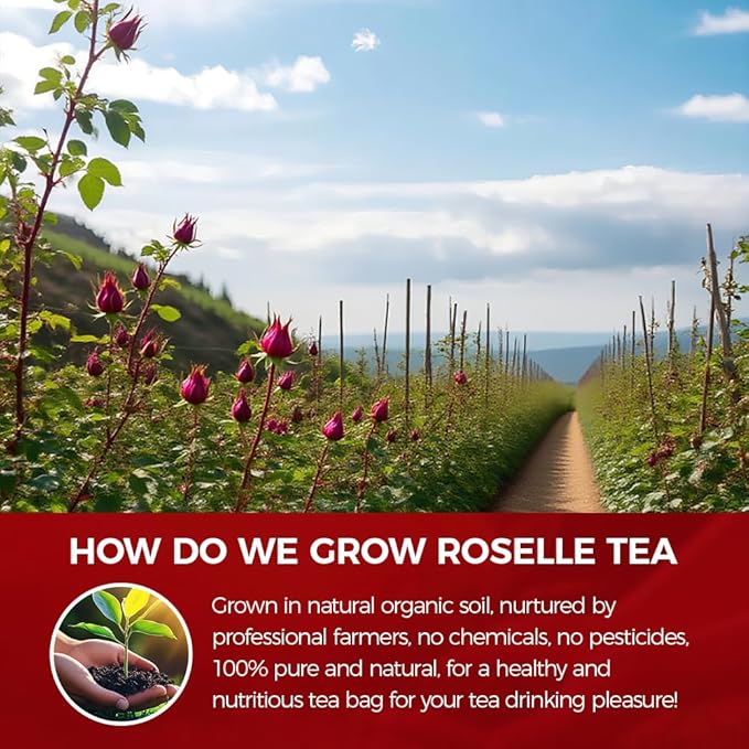 WOTIHA-Natural Hibiscus Tea Bags 120g. 80 Herbal Tea Bags Tea with Antioxidant Properties, Non-GMO • Additive-Free • Caffeine-Free，Vegan