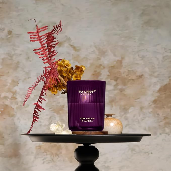 Jar Candles for Home Scented, Aromatherapy Candles Gifts for Women & Men, Natural Soy Candle, 8.4oz Traditional Style, Dark Orchid & Vanilla