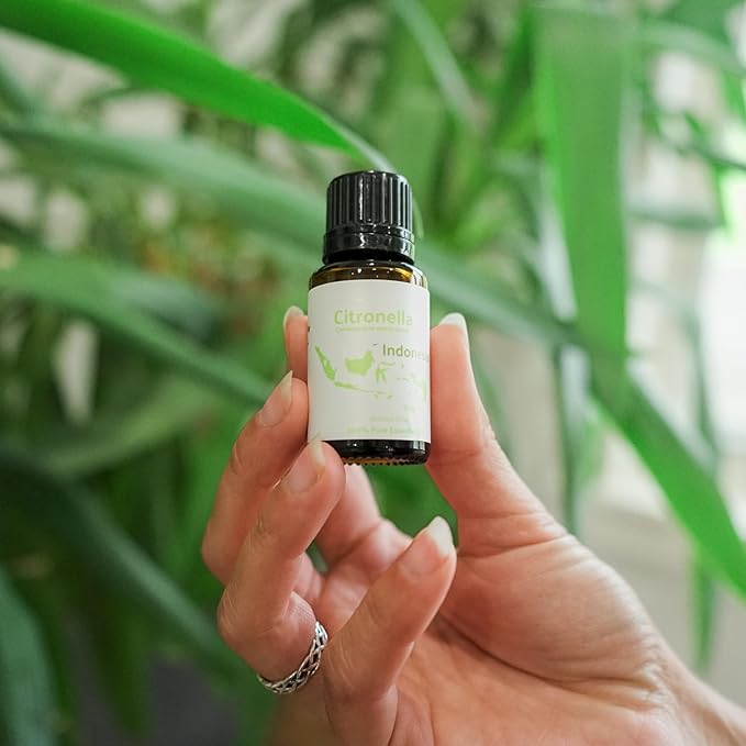 Citronella Essential Oil - Direct from Central Java, Indonesia - Pure Essential Oil for Diffusers and Aromatherapy | 100% Pure Therapeutic Grade (15ml)