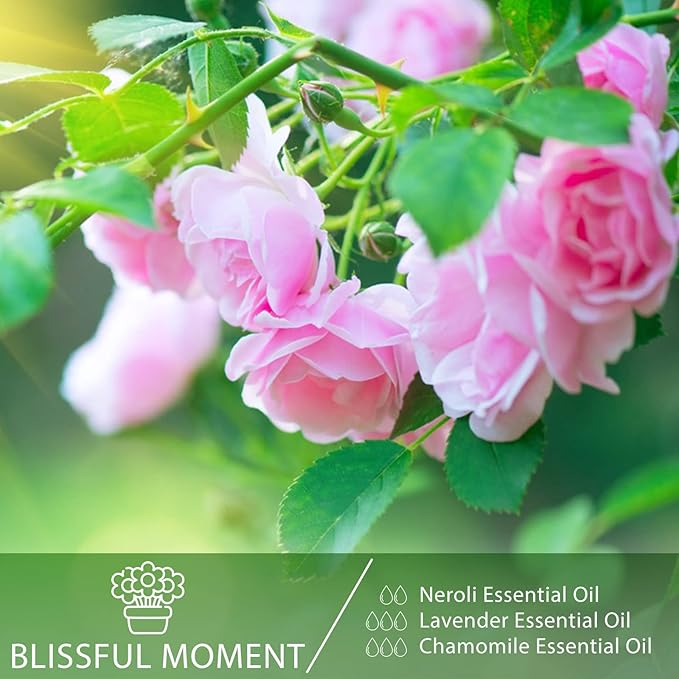 Neroli 3.38fl.oz Essential Oil, PHATOIL Pure Aromatherapy Oils for Diffuser, Humidifier, Perfect for DIY Soap, Candle, Bath Bombs Making(100ml)