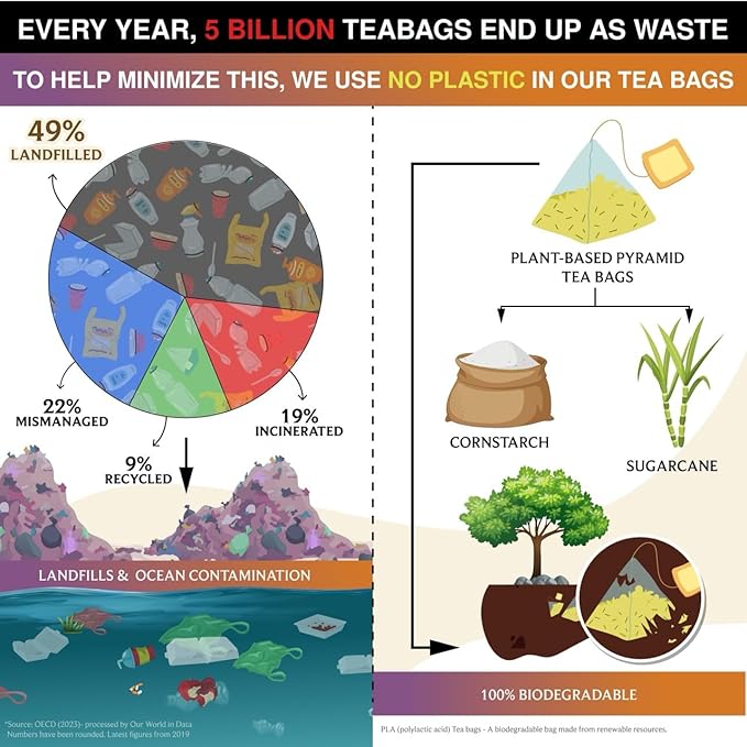 BREWIX, Pumpkin Spice Black Tea Bags (25 Pyramid Bags) | Cozy Fall Blend with Cinnamon, Ginger, Nutmeg & Clove | Caffeinated, Warm & Aromatic | Perfect for Autumn & Halloween