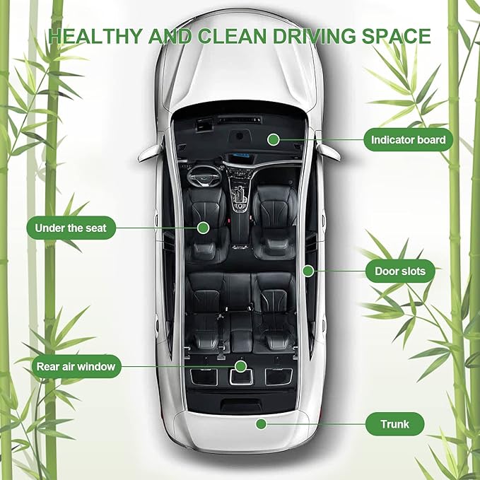 Charcoal Air Purifying Bags 12 Pack×100g Bamboo Charcoal Bags Odor Absorber, for Car Air Fresheners, Odor Eliminator for Home，Shoe Deodorizer - Colorful-Activated Charcoal Odor Absorbers