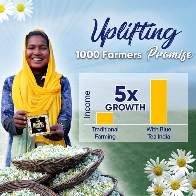 BLUE TEA - Turmeric Tea - Moringa - 30 Count - Pyramid Plant Based Tea Bag | CURCUMIN RICH - HERBAL BLEND | Caffeine Free - Vegan - Herbal Tea - Mild Flavor - Healthy | Reusable Tin Pack