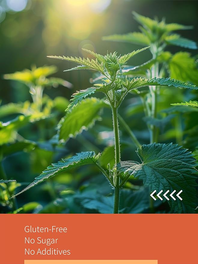 HYNTMYT Nettle Leaf Tea Bags, Natural & Pure Stinging Nettle Leaf Tea, Earthy & Fresh Flavor, Caffeine Free, 120 Count