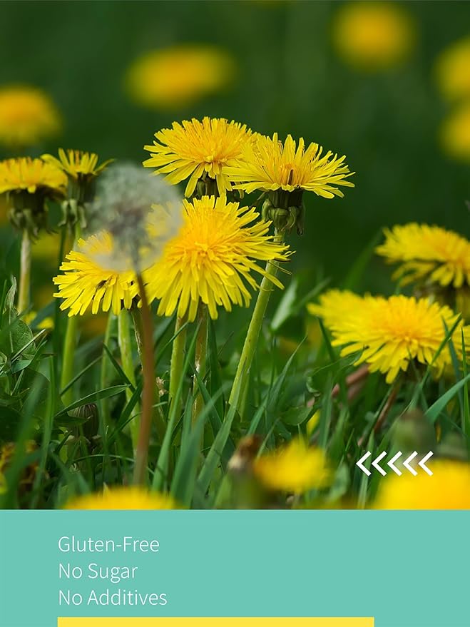 HYNTMYT Roasted Dandelion Root Tea Bags, Pure Dandelion Root Tea, Smooth & Mild Taste, Coffee Alternative, Caffeine Free, 120 Count