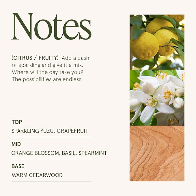 LA JOLIE MUSE Yuzu & Neroli Blossom Candle - Yuzu, Orange Blossom, Cedarwood | 12 oz Large 2-Wick Soy Wax Candle | 60 Hours Clean Burn | Citrus Scented Candle | Elegant Home Décor