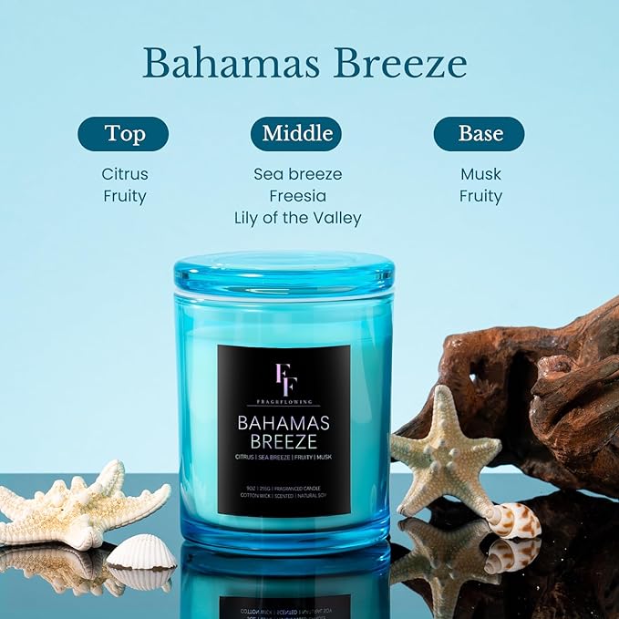 Bahamas Breeze Scented Candle, 2-Wick Luxury Soy Wax Candle, 9 oz Aromatherapy Candle Home Fragrance Candles Gift