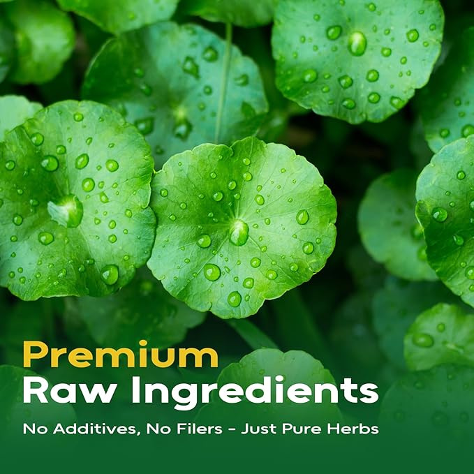 FullChea -Gotu Kola Tea, 50 Teabags - Premium Dried Gotu Kola Leaves - Natural Herbal Tea With Antioxidants & Minerals - Non-GMO - Caffeine-Free - Support Focus