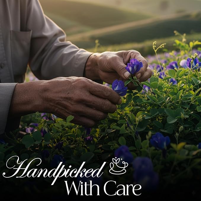 50 PACK Butterfly Pea Tea Bags – Individual Wrapped Tea Bags – Vibrant Blue All-Natural Herbal Tea | Caffeine Free | No Preservatives - Rich In Antioxidants