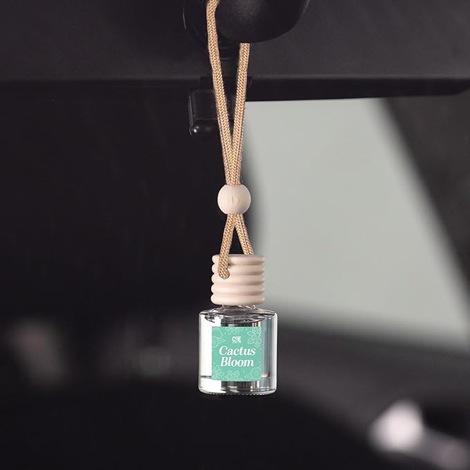 CANDECraftCo Car Air Hanging Fragrance Oil, Car Auto Freshener for Essential Oils, Scents Fragrance Aromatherapy Automobile Diffuser, Long Lasting (Cactus Bloom + Lavender Vanilla)