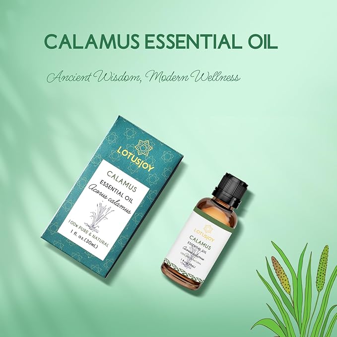 Calamus Essential Oil for Skin Hair Diffuser DIY Anointing Oil- 1 Oz