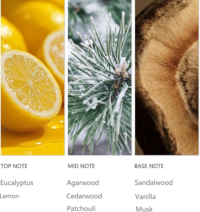 Hotel Waterless Diffuser Oil Oud Wood, Essential Scent Oil Usage Cold Air Waterless Diffuser, Luxury Scents Oils Fragrance Bottle120 ML Home Natural Flavour