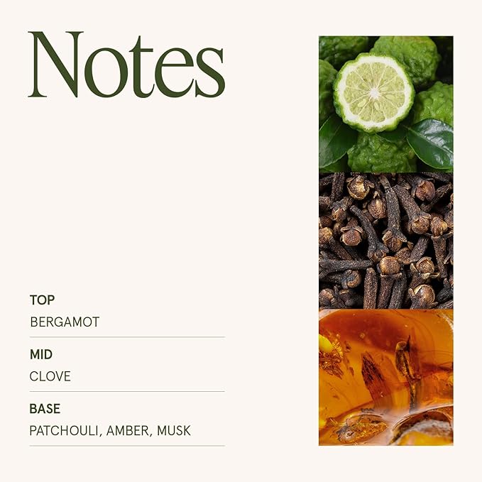 LA JOLIE MUSE Sahara Amber Candle – Bergamot, Clove & Amber | 12 oz Large 2-Wick Soy Wax Candle | 60 Hours Clean Burn | Gift-Ready for Hosts & Gatherings | Elegant Home Décor