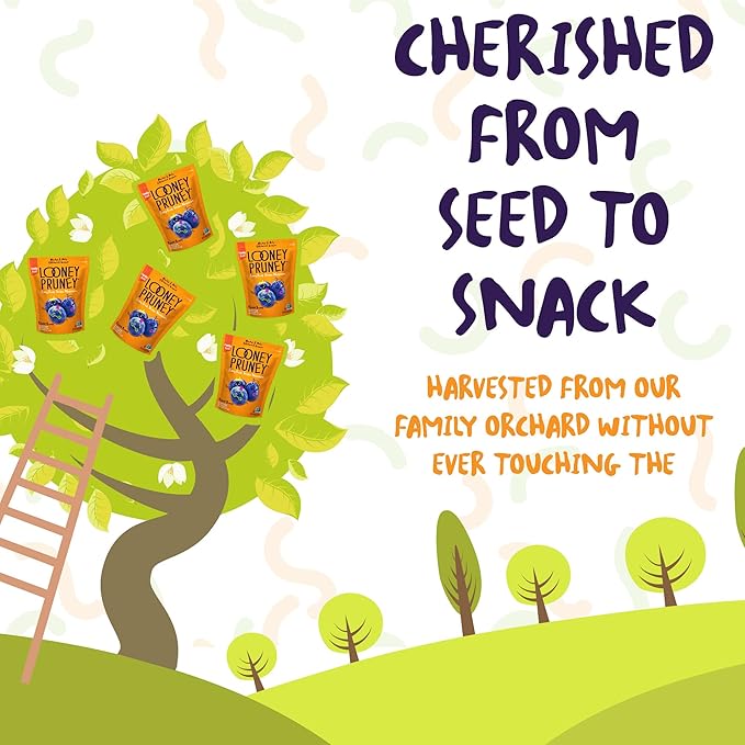 Looney Pruney Pitted Dried Prunes for the Family | Always California-Grown | Kosher | No Added Sugar & No Preservatives (40 oz)