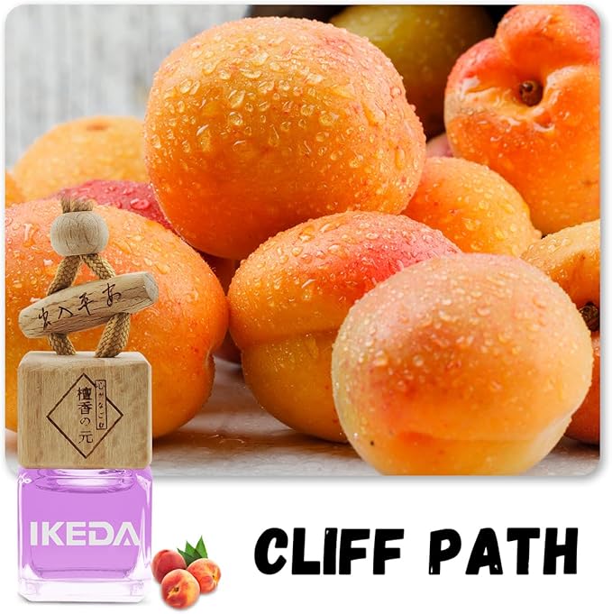 Car Air Freshener | Square Hanging Car Scent with Vent Clip Bottle | Long Lasting Fragrance | Essential Oil Diffuser | Odor Eliminator Deodorizer (Square-Cliff Path)