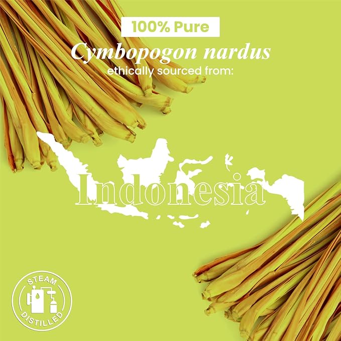 Handcraft Blends Citronella Essential Oil – Huge 4 Fl Oz – 100% Pure and Natural – Premium Grade Essential Oil for Diffuser and Aromatherapy, Skin, Massage, Candle and Soap Making Fragrance