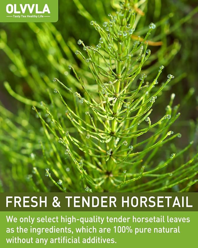 Olvvla - Premium Horsetail Tea Bags - 1.5g X 40 Count - Pure Natural Horsetail Herbal Tea - Caffeine-free - Non-GMO - Dried Horsetail Herb - Rich in Antioxidants & Support Bone Health