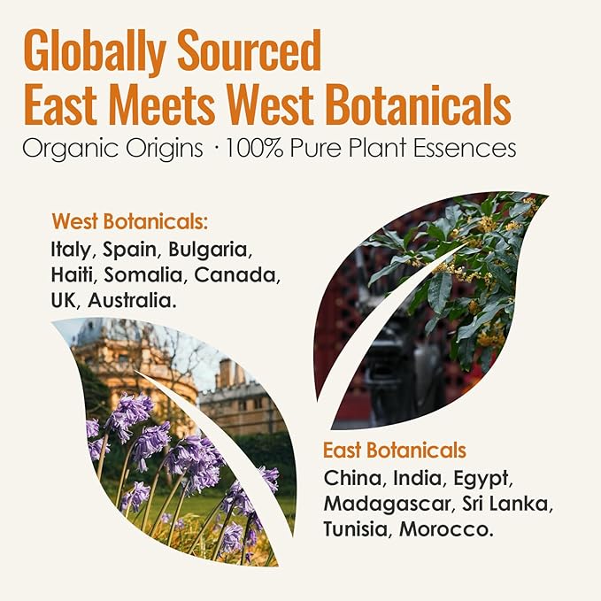 MATRUM Breathe Essential Oil Roll On, 100% Pure Fresh Mint Citrus Aromatherapy Blend Oil for Clear Breathing & Uplifting, Headache Relief, Calm & Focus, Metal Roller, 0.5 Fl Oz