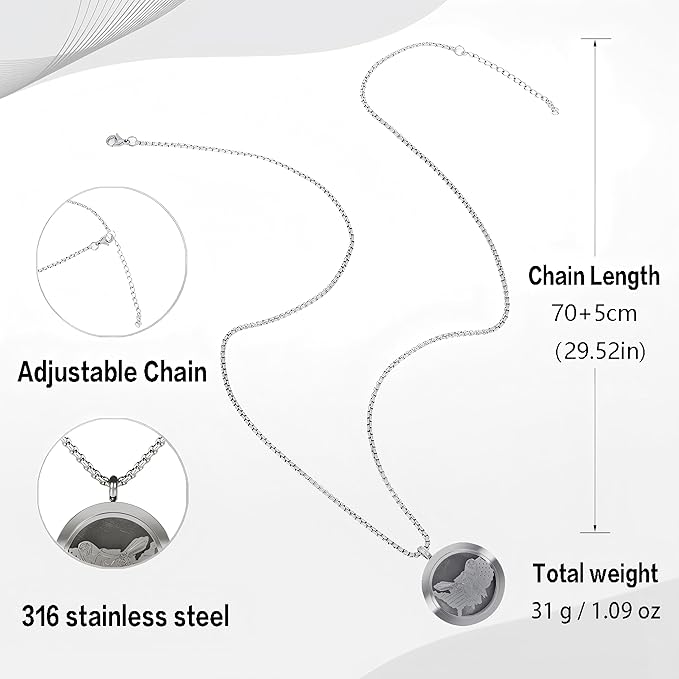 Aromatherapy Diffuser Necklace-Eagles Essential Oil Necklace,Aromatherapy Diffuser Pendant for Men and Women,Portable,Suitable for Yoga,Meditation,Travel,Stress Relief Gift(Silver 30mm)