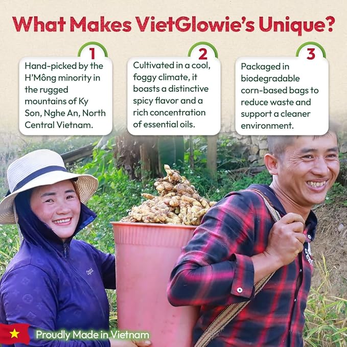 VietGlowie 30 Ginger Pyramid Tea Bags, 3.5g/bag to 33oz, Ginger Root Herbal Tea, Warm & Spicy, Support Digestion, Boost Immunity, 100% Natural, No Caffeine, Corn-Based Tea Bags