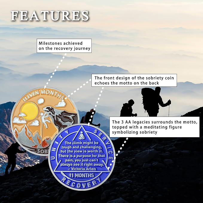 11 Month Sobriety Coin Sobriety Chips AA Chip AA Coins Sober Token Recovery Medallion NA Chips NA Coins from 1 to 12 Months Plastic case Included-Baking Paint Process