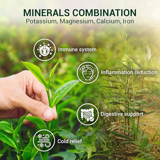 ANBA Ginger Black Tea Bags Fermented Tea Leaf, 25 Count | Bold & Rich Flavor | Warming Herbal Tea | Naturally Energizing | Handpicked Ingredients | No Sugar Added | ISO HACCP Certified