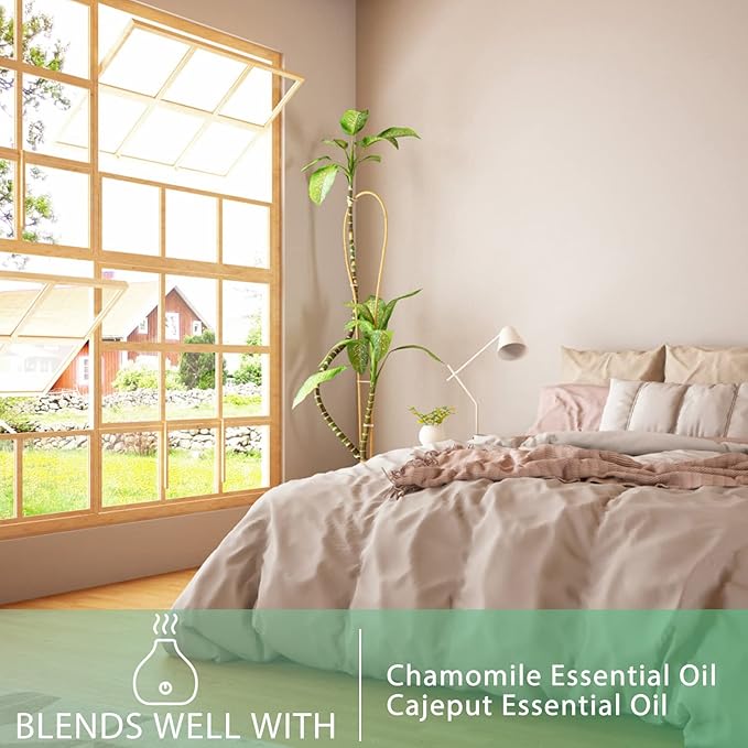 Camphor Essential Oil, 1.01Fl.Oz (30ML) PHATOIL Pure Essential Oil Singles for Aromatherapy Diffusers, Humidifiers, Great for DIY Candle and Soap Making, Gift for Friend