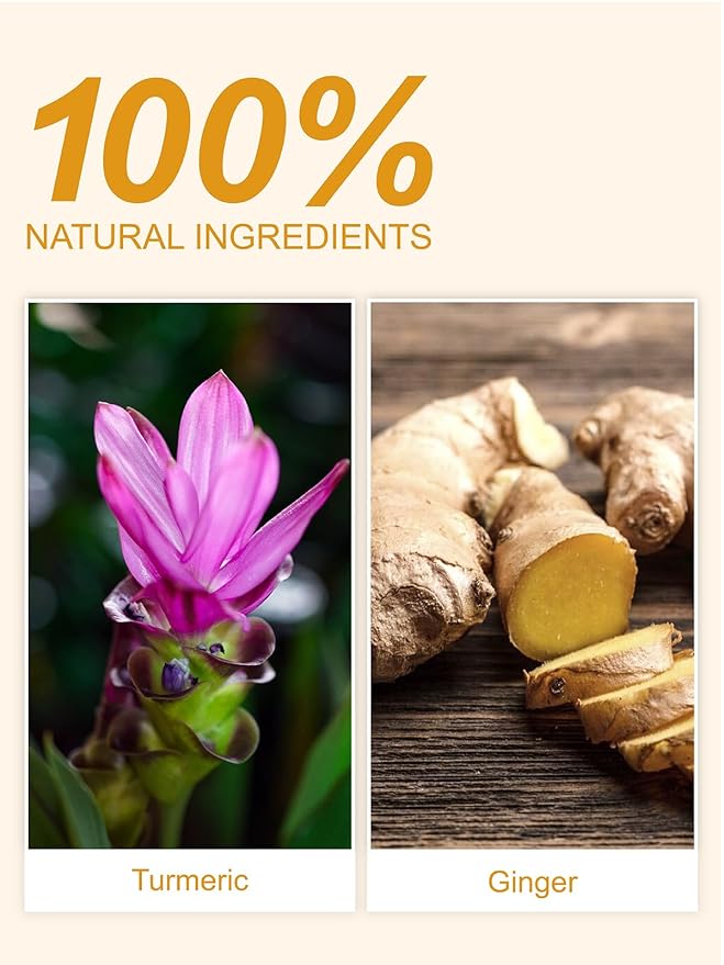 TeeLux Turmeric Ginger Tea Bags, Pure Natural Turmeric Ginger Herbal Tea, Spicy & Smooth Flavor, Caffeine Free, 100 Count
