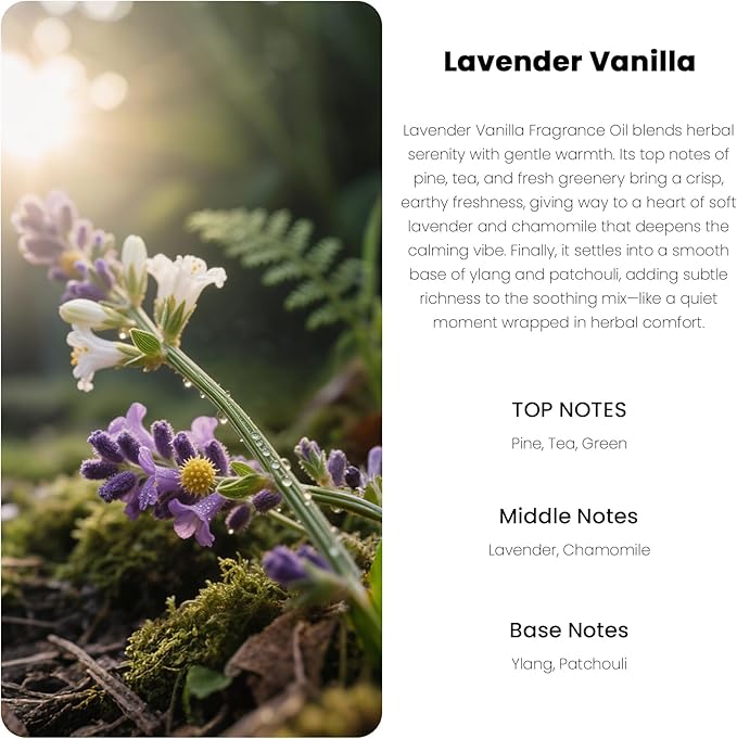 Car Air Freshener Hanging Diffuser – Long-Lasting Essential Oil Scent (Up to 60 Days) – Non-Toxic & Eco-Friendly – 2-Pack Auto Fresheners Made in USA