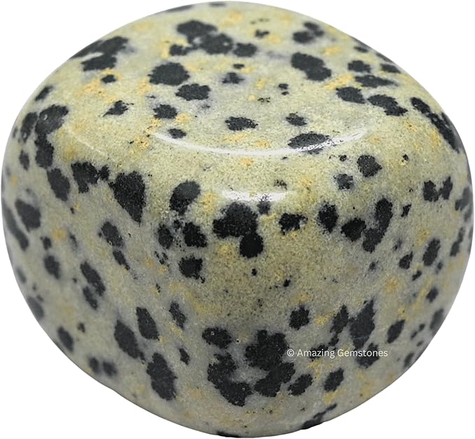 Amazing Gemstone Dalmatian Jasper Crystals and Healing Stones Tumbled - 1 oz Dalmatian Jasper Stone, Natural Healing Stones for Energy Balance, Stress Relief - Premium Polished Gems Rocks