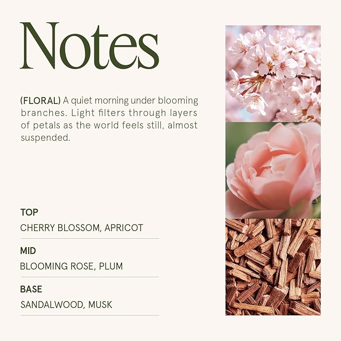 LA JOLIE MUSE Cherry Sakura Candle - Cherry Blossom, Rose, Sandalwood | 6 oz Natural Soy Wax | 40 Hours Clean Burn | Floral Scented Candle | Gift-Ready for Hosts & Gatherings