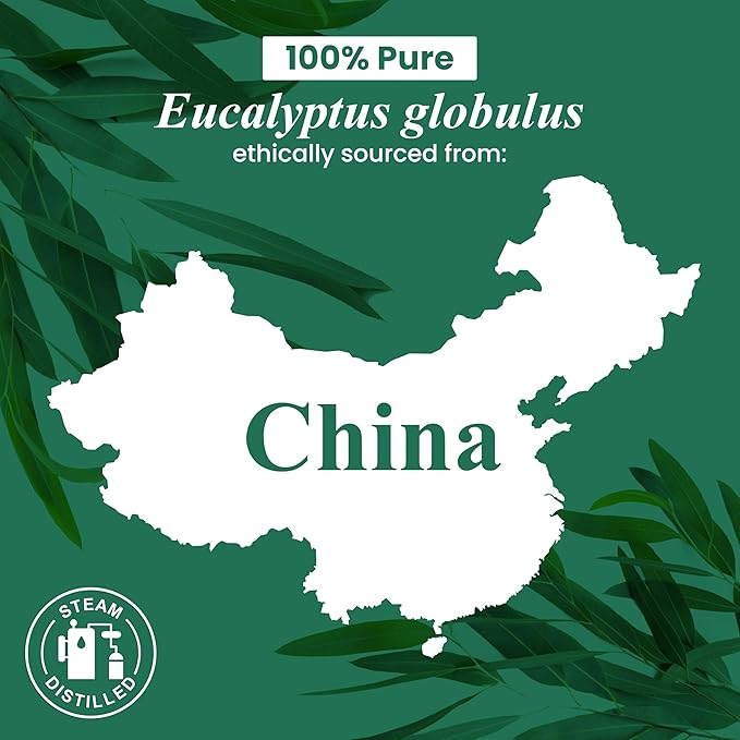 Handcraft Blends Eucalyptus Essential Oil – 1 Fl Oz – 100% Pure and Natural – Premium Grade Essential Oil for Diffuser and Aromatherapy, Skin, Massage, Candle and Soap Making Fragrance