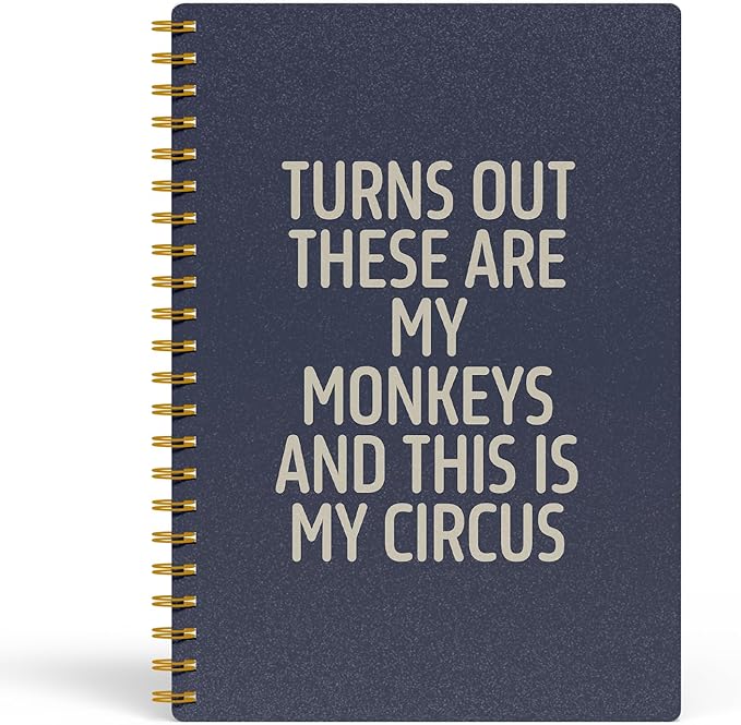 Funny Notebooks for Work, Blue Aesthetic Journal, Funny Boss Day Gifts, Boss Gifts for Men Women, Funny Gifts for Boss, Boss Office Decor, Spiral Notebook 5.5x8.3 Inch