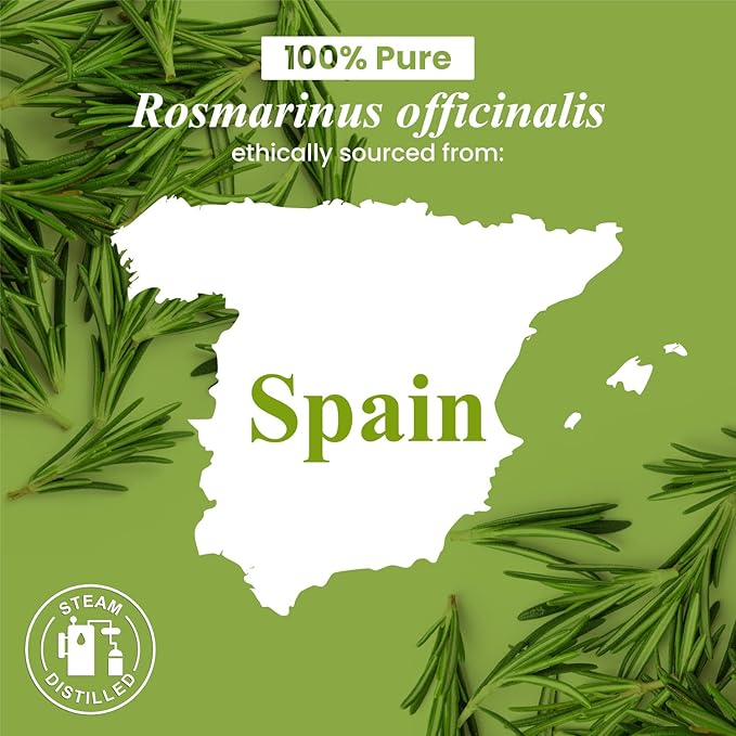 Handcraft Blends Rosemary Essential Oil – 0.33 Fl Oz – 100% Pure and Natural – Premium Grade Essential Oil for Diffuser and Aromatherapy, Skin, Massage, Candle and Soap Making Fragrance