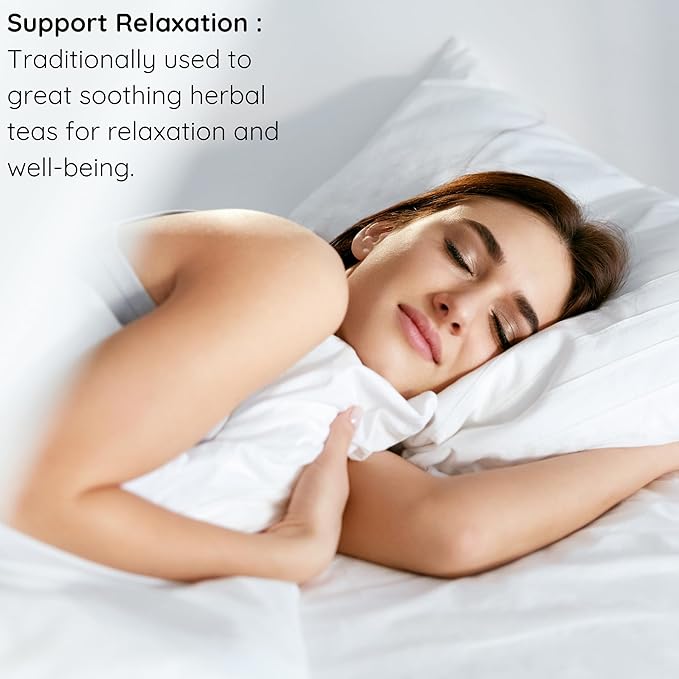 Herbs Botanica Angelica Root Loose Cut and Sifted Angel of Herbs Angelica Archangelica Angelica Herb for Herbal Tea, Baking Add to Tea Blends 3.5 oz