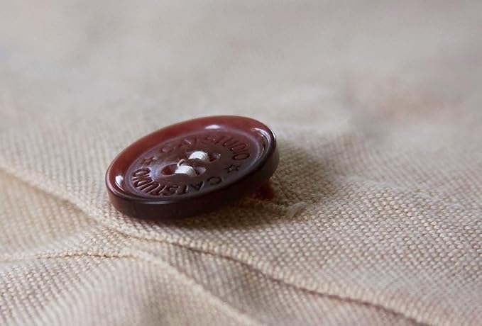 Catstudio Switzerland Embroidered Decorative Throw Pillow