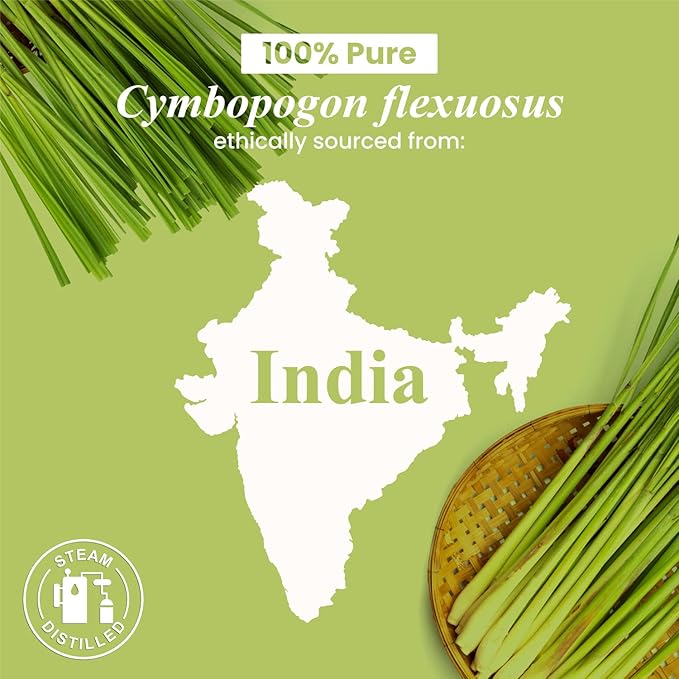 Handcraft Blends Lemongrass Essential Oil – 0.33 Fl Oz – Pack of 2 – 100% Pure and Natural – Premium Grade Essential Oil for Diffuser and Aromatherapy, Skin, Massage, Candle and Soap Making Fragrance