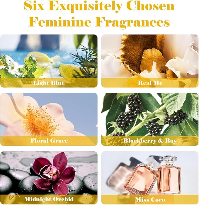 AmaKane Feminine Fragrance Oils, Women Essential Oil, Perfume Oils for Women Long Lasting, Fragrance Oil for Candle Soap Making, Diffuser Oil Scents 6x10 ml, BlackBerry& Bay, Midnight Orchid, More