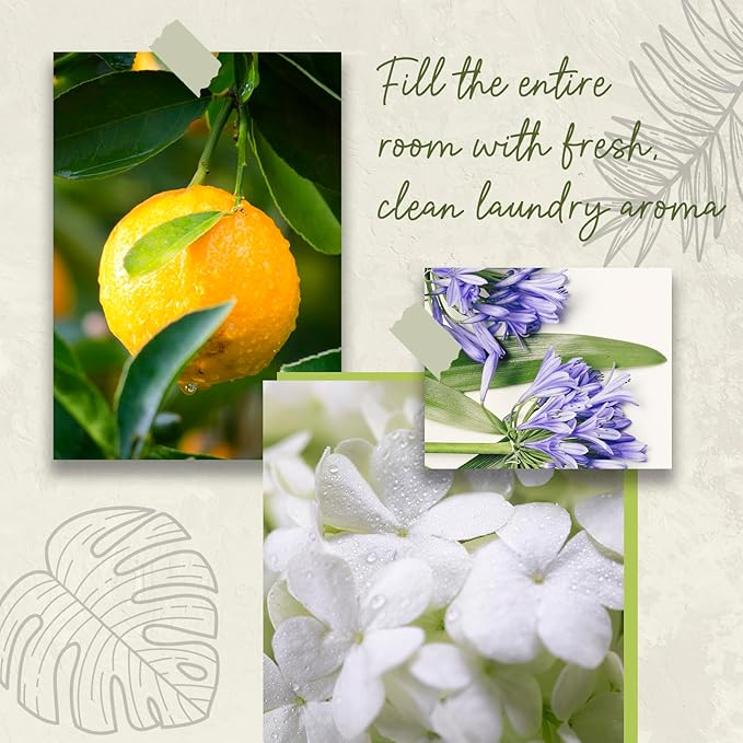 Escape Reed Diffuser Set, 6.7 Oz Large Bottle Scent Diffuser with Sticks, Home Fragrance Oil Diffuser for Bathroom Office Air Freshener, More Masculine Scent