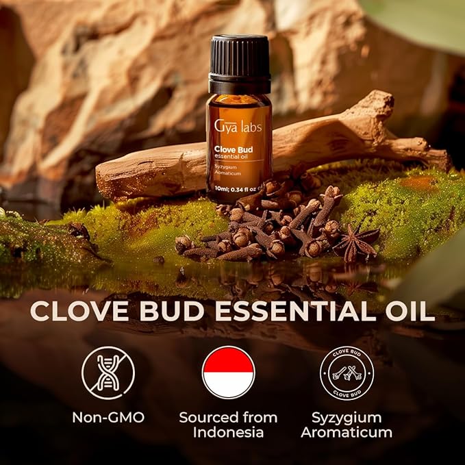 Gya Labs Clove Essential Oil - 0.34 Fl Oz - for Hair, Skin, Diffuser, Aromatherapy & DIY Candle Making Scent