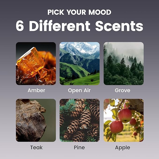 Car Diffuser | Stone Air Freshener | Magnetic Visor Clip & Hanging Car Scent Odor Eliminator, Long Lasting Vehicle Fragrance - Grove