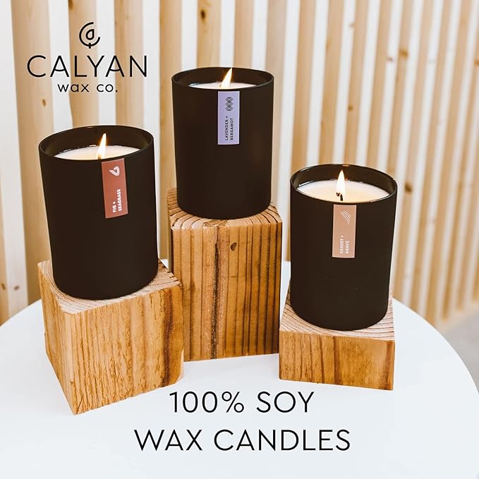 Calyan Wax Co. Soy Wax Candle, Home + Holiday Scented Candle, 75 Hour Burn Time, Aromatherapy Soy Candles, Non Toxic & Vegan Soy Wax, Black Tumbler Scented Candles, 10.2oz
