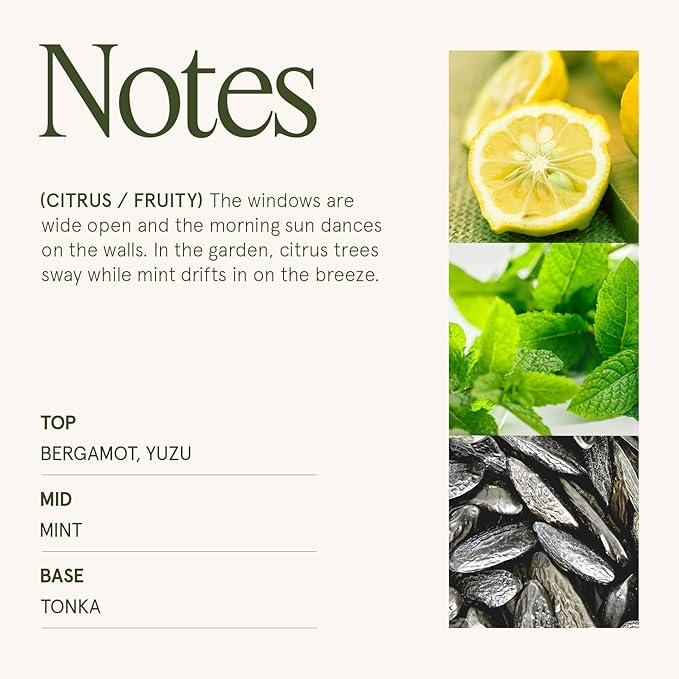 LA JOLIE MUSE Citrus Mint Candle - Bergamot, Yuzu, Mint | 19 oz Large Wooden Wick Candle | Natural Soy Wax | 90 Hours Clean Burn | Fresh Citrus Candles | Modern Home Decor