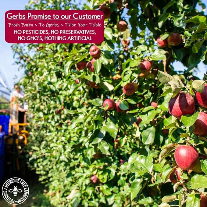 Gerbs Dried Cinnamon Sugar Apple Cubes 2 lbs. | Unsulfured, No Additives, Resealable Bag | Naturally Sweet & Spiced | Top 14 Allergen-Free